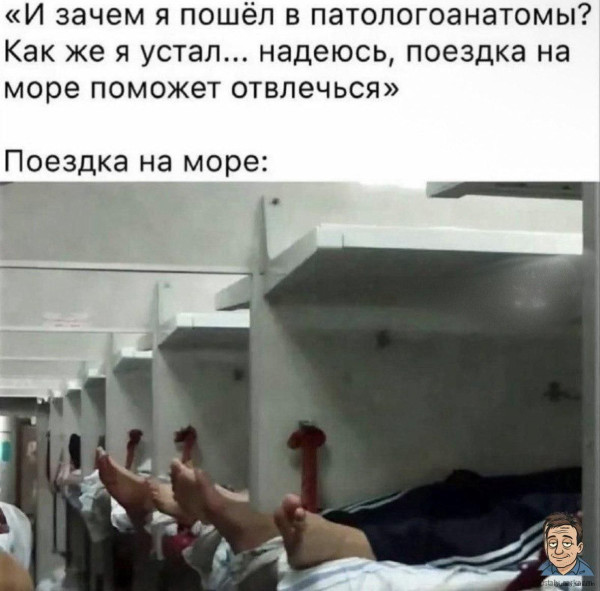 Мем, Ashmedai