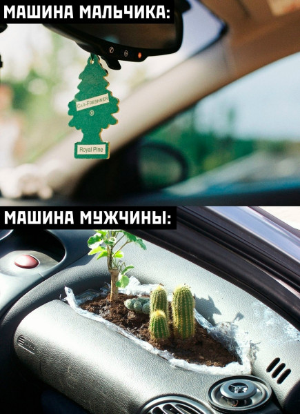 Мем: Автомобильный сад., henh