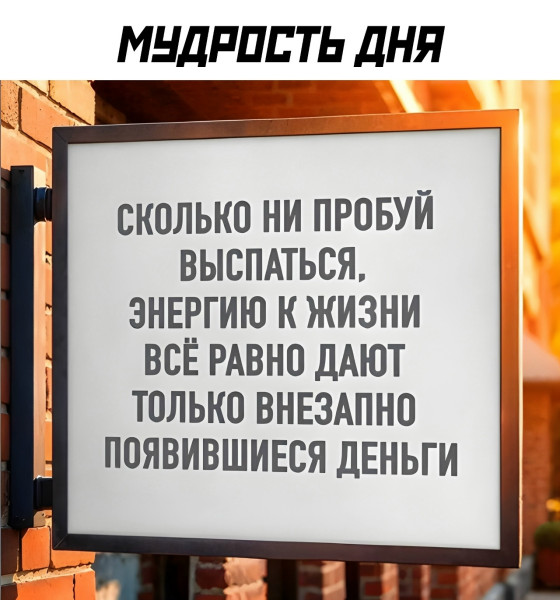 Мем: Мудрость дня, henh