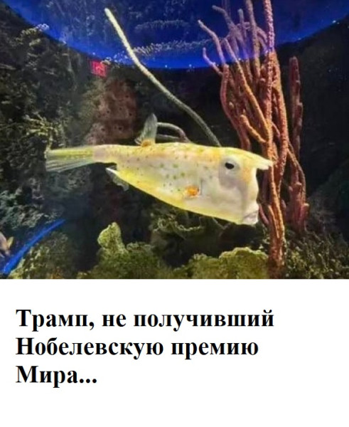 Мем, Mghost