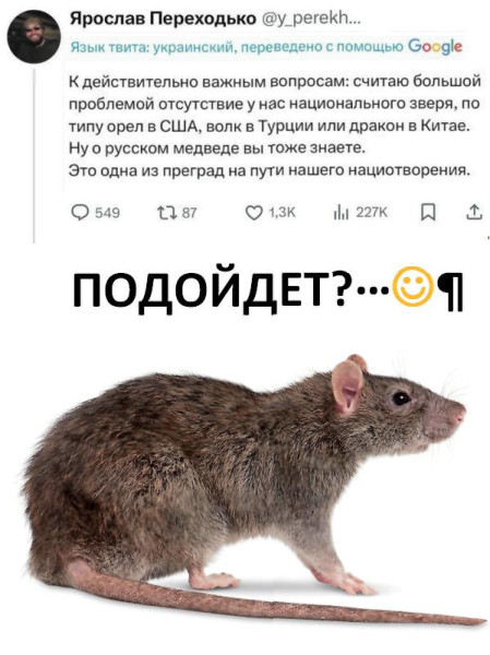 Мем: Ответ на мем от 17.10