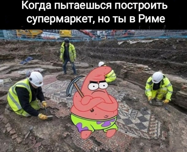 Мем, Рысь