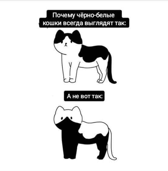 Мем, Рысь