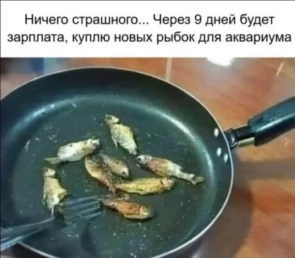 Мем, immar