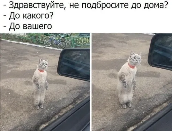 Мем, Смехалка