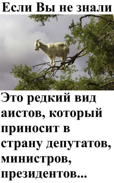 Мем
