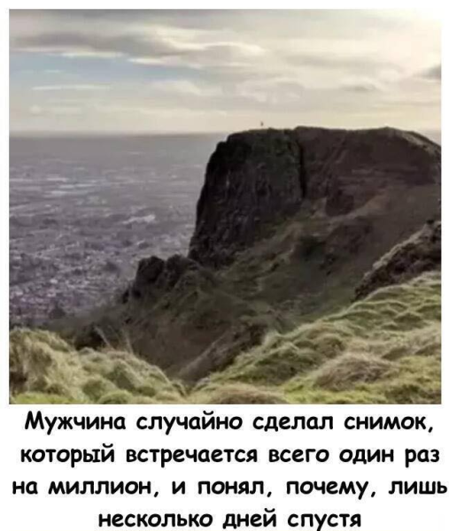 Мем, immar