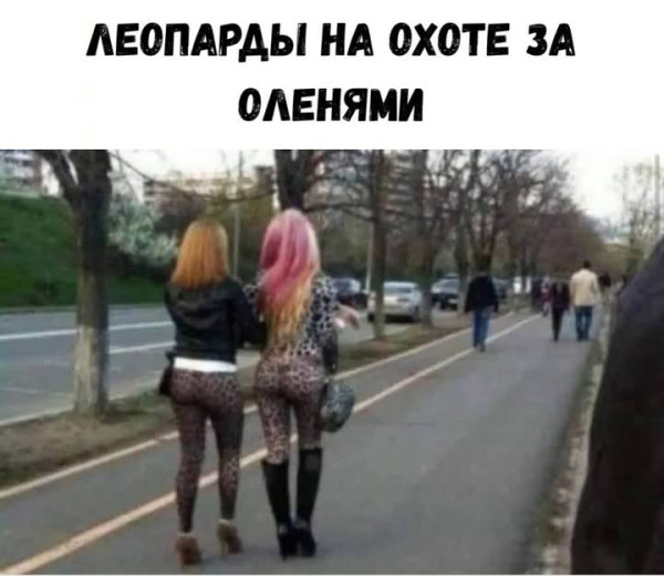 Мем, Анекдотчик