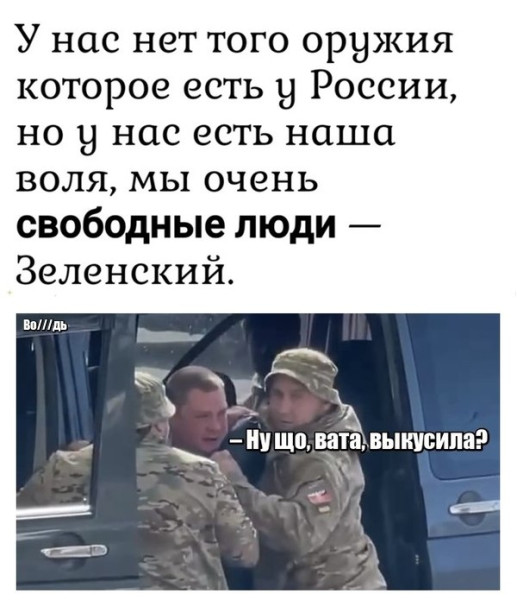 Мем, Максим Камерер