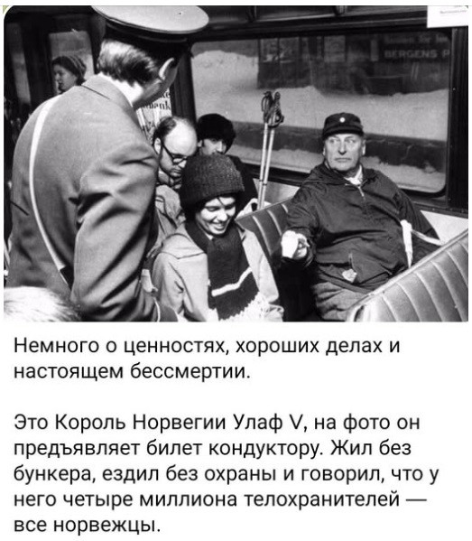 Мем, immar Мем, immar