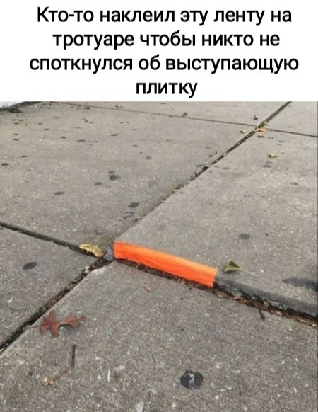 Мем, Рысь