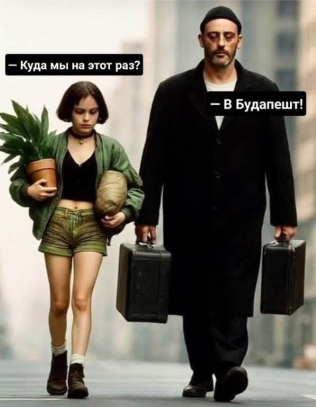 Мем, immar