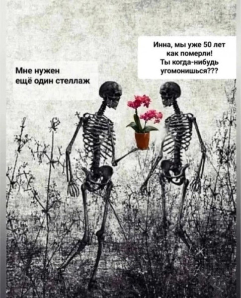 Мем, Ю