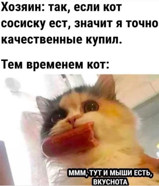 Мем, Анекдотчик