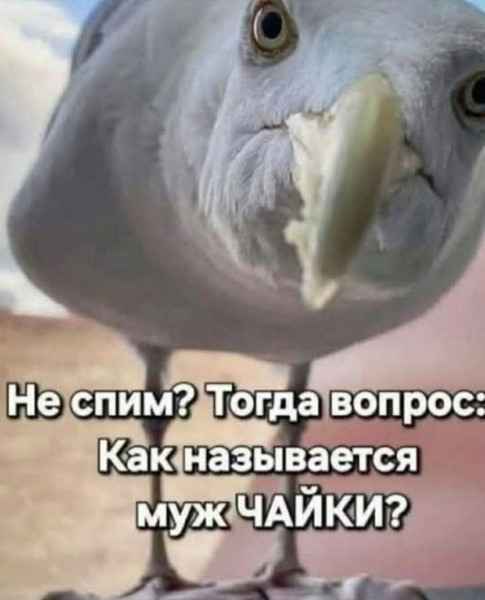 Мем, Jonas Мем, Jonas