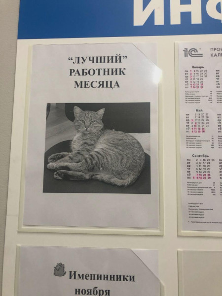 Мем: Мы не сомневались., henh