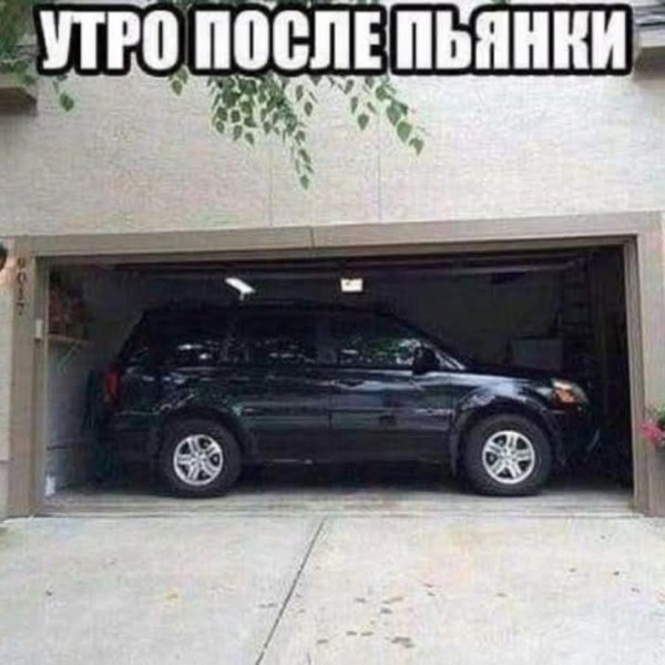 Мем, Jonas