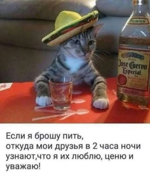 Мем, Jonas