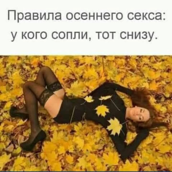 1761254397.jpg