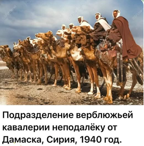Мем, immar