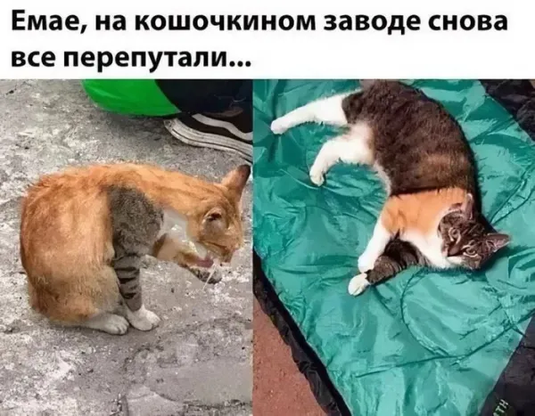 Мем, Смехалка Мем, Смехалка