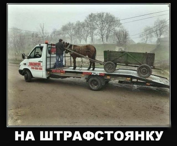 Мем, Ashmedai Мем, Ashmedai