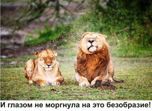 Мем, Тьмуша Мем, Тьмуша