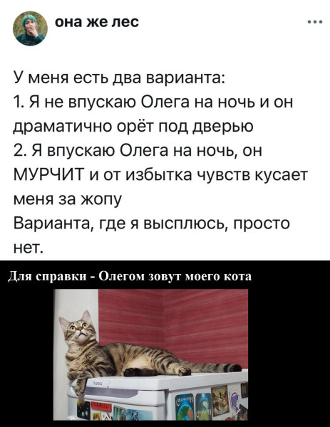 Мем, Mghost Мем, Mghost