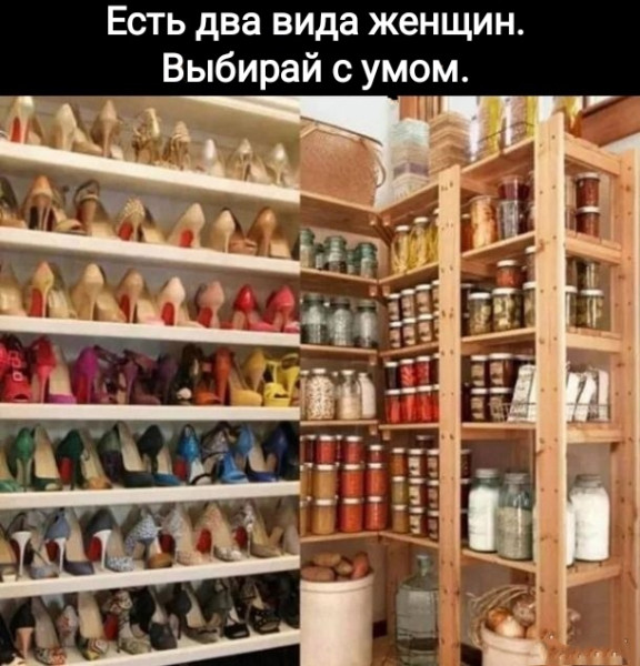 Мем, Рысь