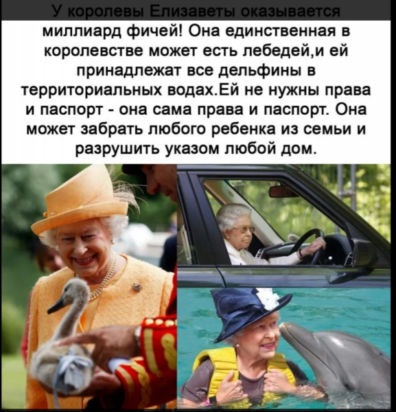 Мем, михельсон Мем, михельсон