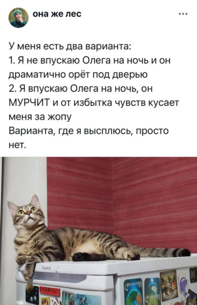 Мем: Иллюзия выбора., henh