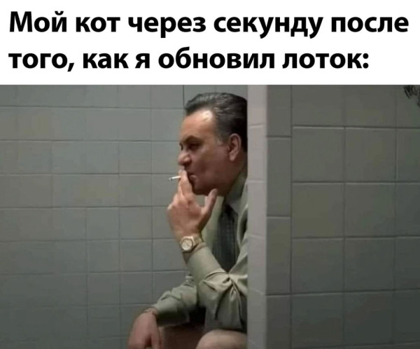 Мем: Как обычно., henh Мем: Как обычно., henh