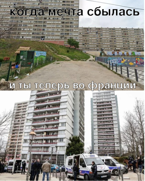 Мем: Увидеть Париж хоть тушкой, хоть чучелом, Ahmeday Мем: Увидеть Париж хоть тушкой, хоть чучелом, Ahmeday