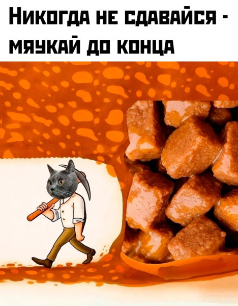 Мем: Не сдавайся., henh Мем: Не сдавайся., henh