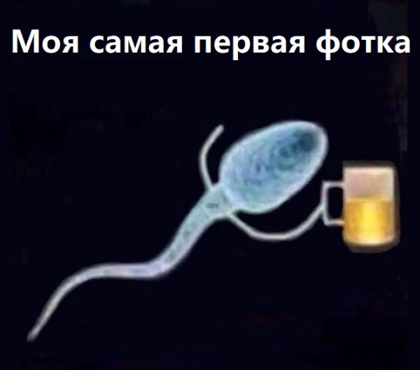 Мем, immar Мем, immar