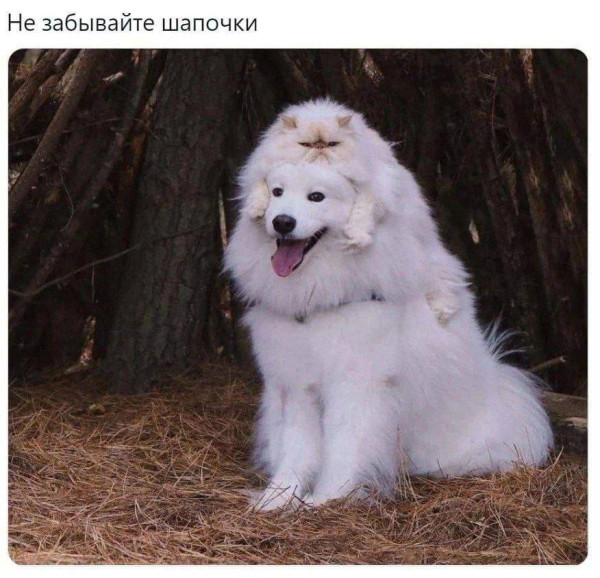 Мем, Смехалка