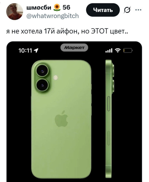 Мем: а в чём смысл цвета телефона, если вы его всё равно всю жизнь в чехле носите, чтобы он не разбился., henh