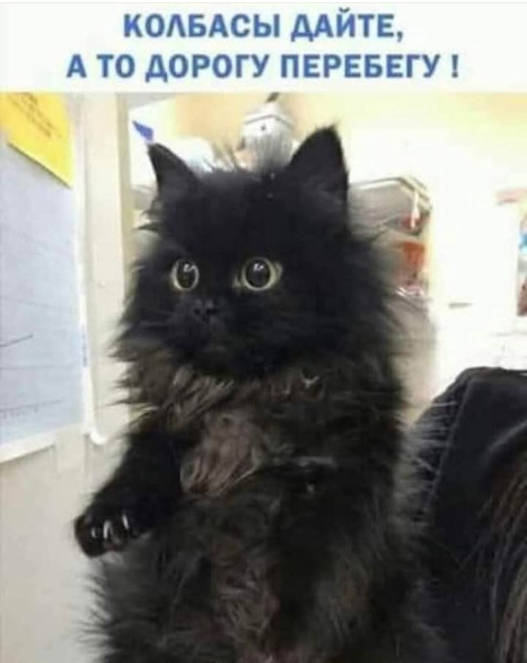 Мем, Анекдотчик