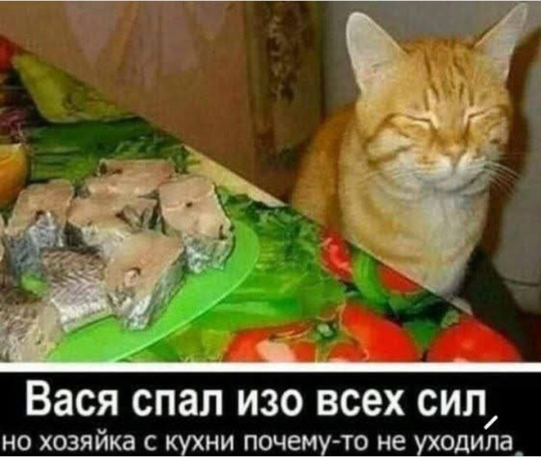 Мем, Анекдотчик
