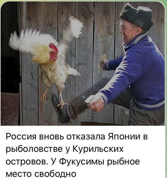 Мем, Максим Камерер