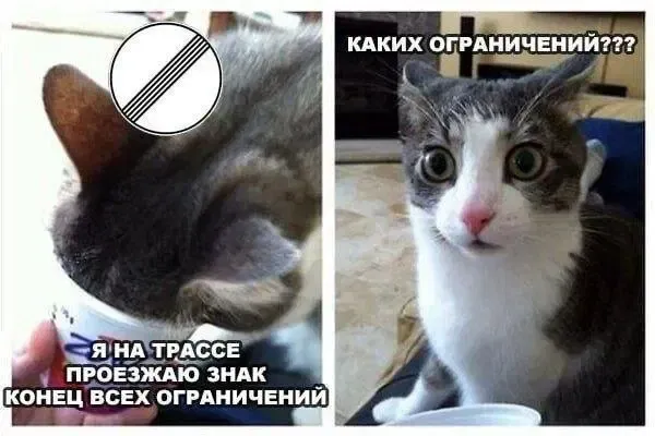 Мем: Было такое?, Правдоруб Адекват
