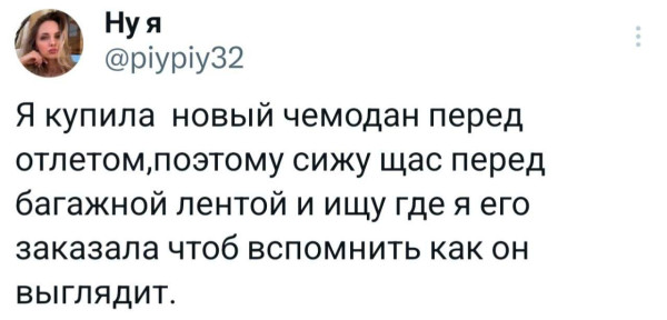 Мем: Новый чемодан, suchka