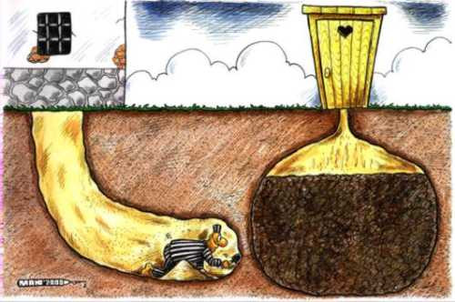 Мем: 2001, Александр Маркелов