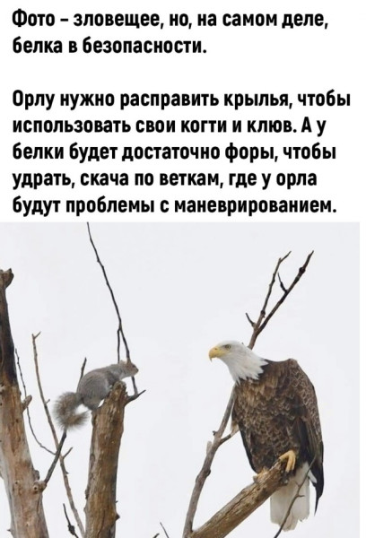 Мем, Смехалка