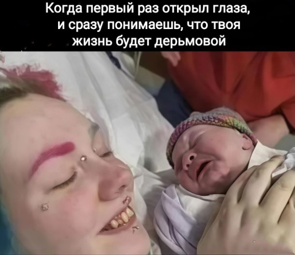 Мем, Рысь