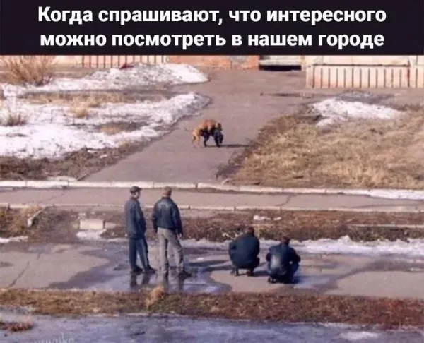 Мем, Смехалка