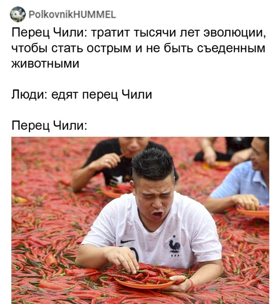 Мем, Mghost