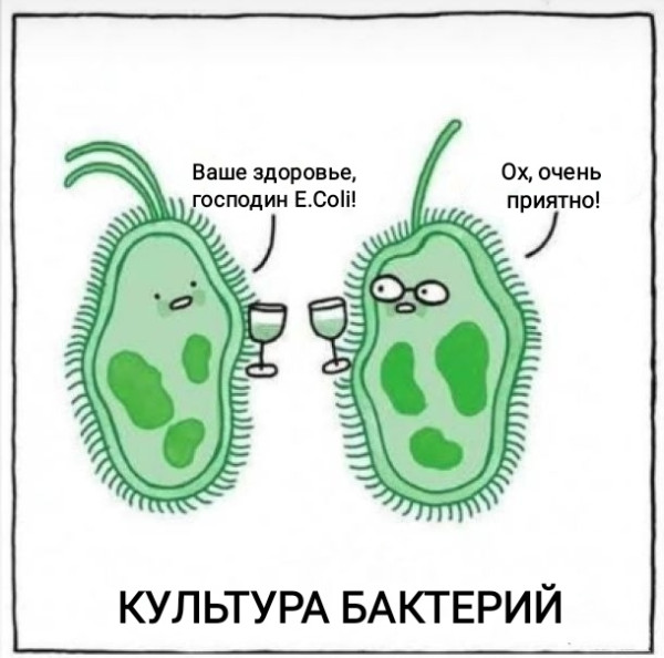 Мем, Рысь