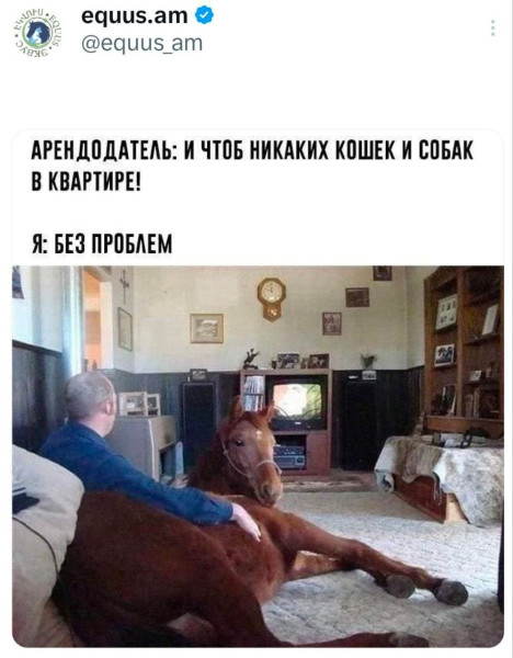 Мем, Смехалка