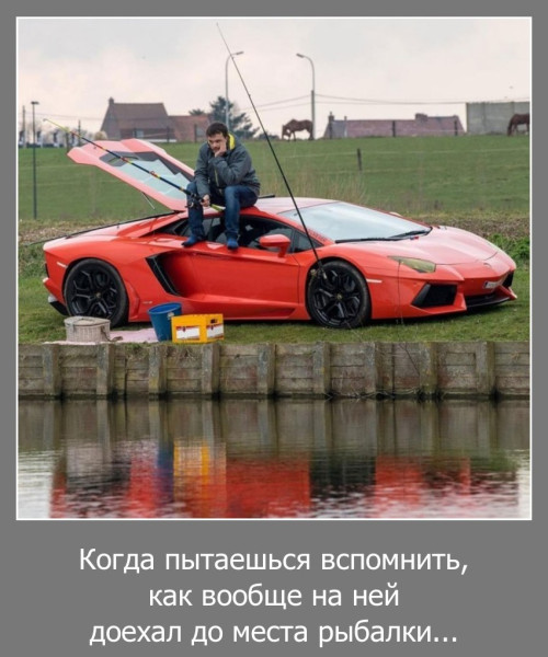 Мем, Волгоградский рыболов